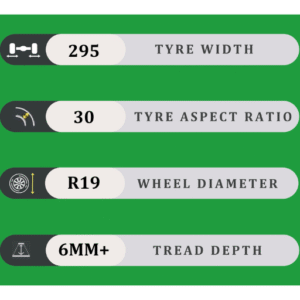 295/30/19 6MM+